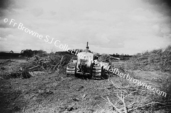 BULLDOZER  CLEARING SCRUB AND TREES  NEAR LAKE